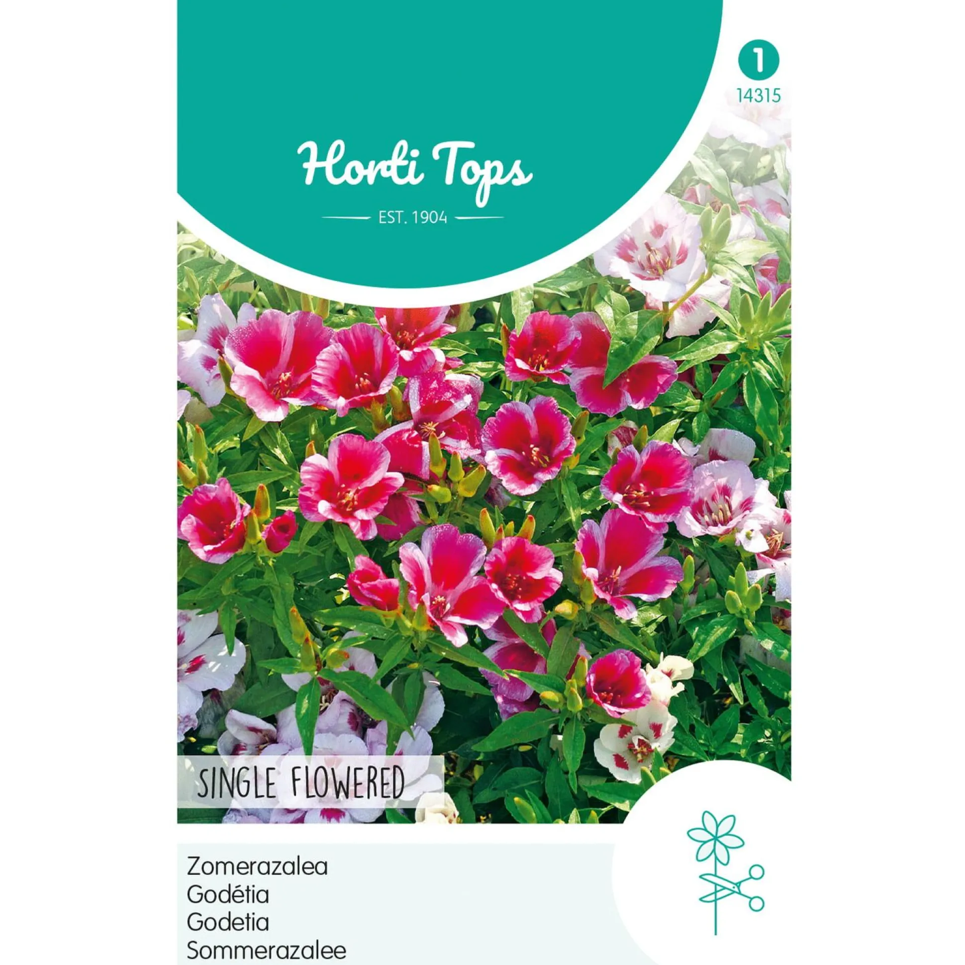 Zomerazalea Enkelbloemig Mix
