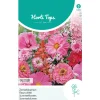 Zomerbloemen roze en rode tinten