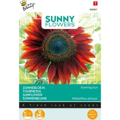 Zonnebloem Avondzon