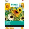 Zonnebloem Esther