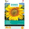 Zonnebloem Henry Wilde