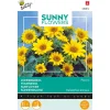 Zonnebloem Pacino Gold