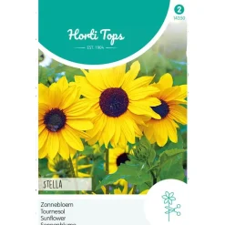 Zonnebloem Stella