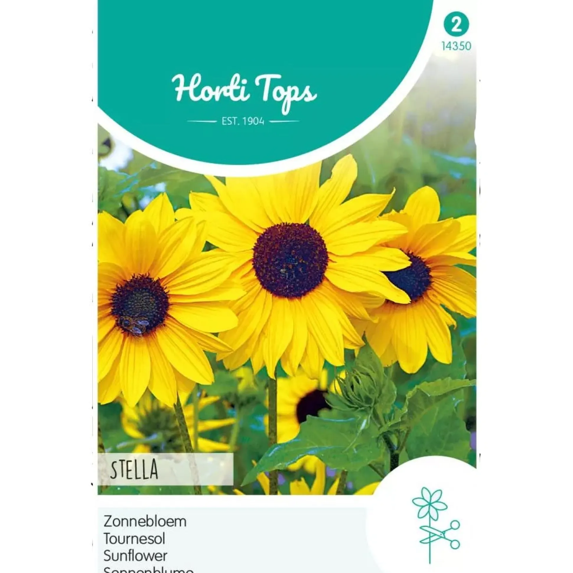 Zonnebloem Stella